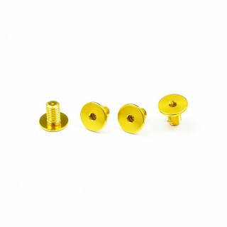 Screw Kit gold for Arai GP-7