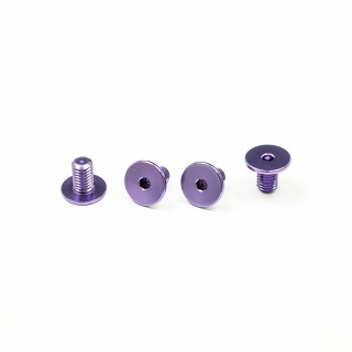 Screw Kit purple for Arai GP-7